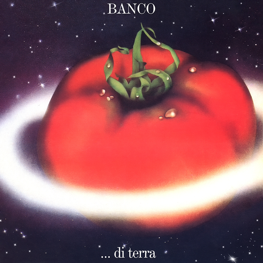 Banco di terra